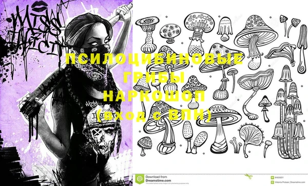 стафф Магас