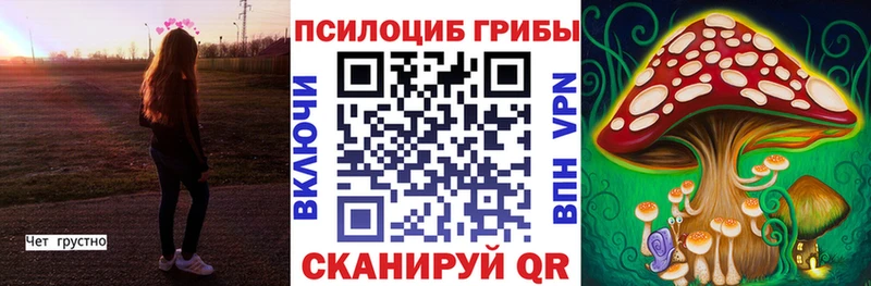 Псилоцибиновые грибы ЛСД  наркота  Выкса 