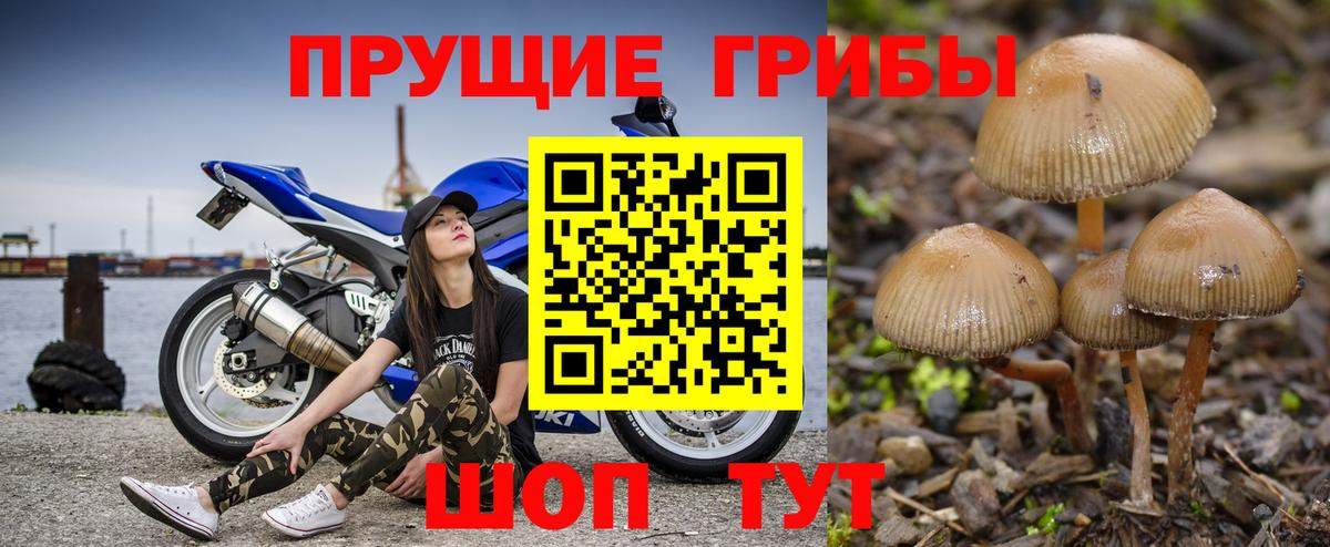 Псилоцибиновые грибы GOLDEN TEACHER Выкса