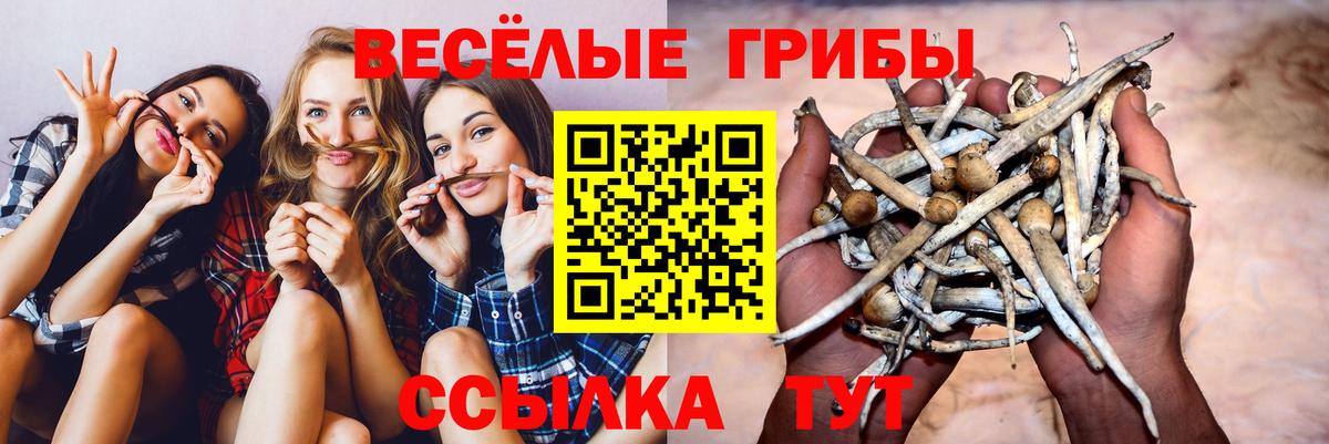 Псилоцибиновые грибы GOLDEN TEACHER  Псилоцибиновые грибы Magic Shrooms  Выкса 